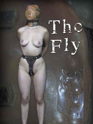 The Fly cover