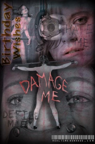 Birthday Wishes: Damage Me cover