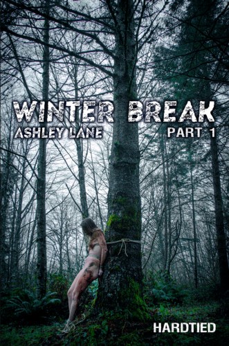 Winter break part 1 cover