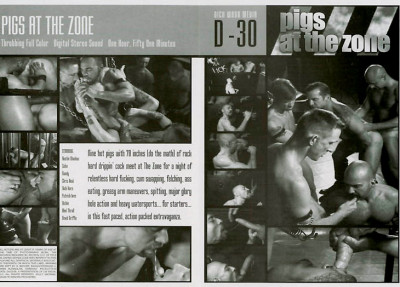 Pigs At The Zone (2007) cover