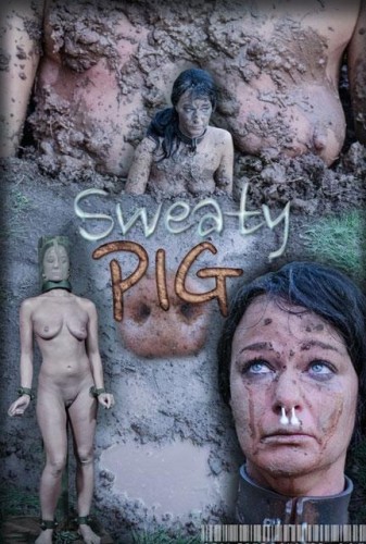 Sweaty Pig Part 2 cover