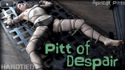 Pitt of Despair cover