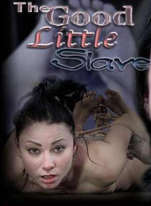 The Good Little Slave cover