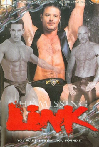The Missing Link cover