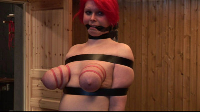 BreastsInPain - Rubber Band Sausage Tits for Red Hibisca cover