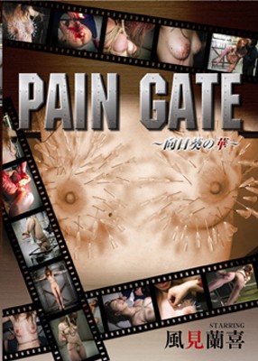 Scrum - Pain Gate