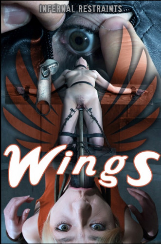 IR - Wings cover