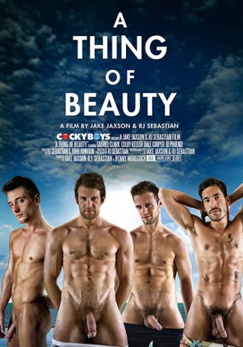 A Thing of Beauty (2013) cover