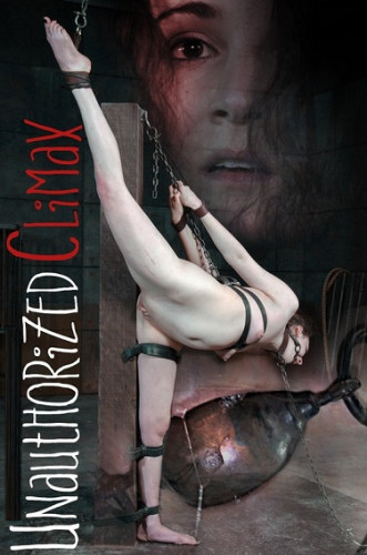 Endza - Unauthorized Climax- HD 720p cover