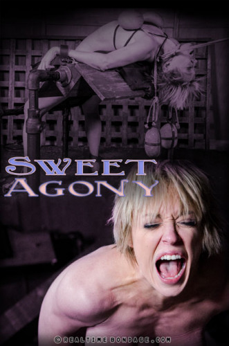 Sweet Agony Part 3 , Dee Williams cover