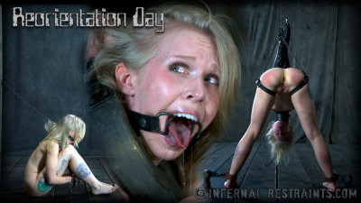 Reorientation Day - Sarah Jane Ceylon cover