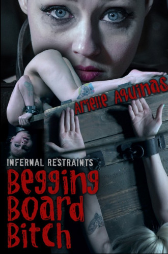 IR Begging Board Bitch - Arielle Aquinas cover