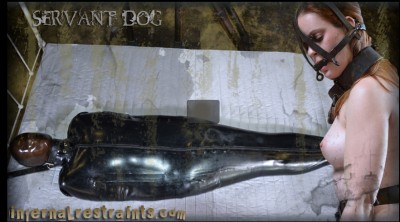 Infernalrestraints - May 13, 2011 - Servant pooch cover