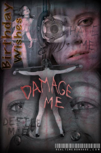 Birthday Wishes Damage Me cover