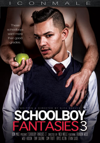 Schoolboy Fantasies - part 3 cover