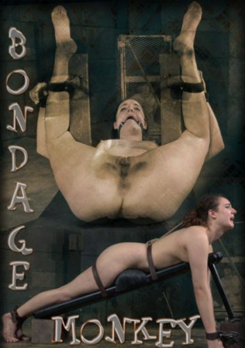 Bondage Monkey Part 3 - Endza cover