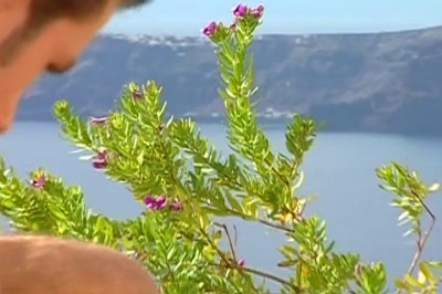 [Pacific Sun Entertainment]Muscular Anal Sex Happens On A Hot Carribean Island