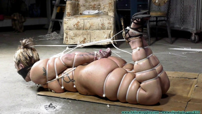 Futile Hogtied part 2 cover