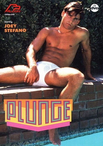 Plunge cover