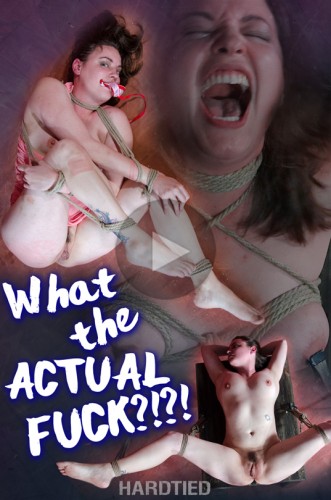 What the Actual Fuck , Amy Nicole - HD 720p cover