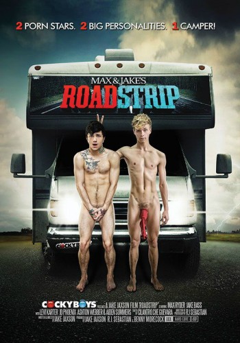 Road Strip (2014) cover