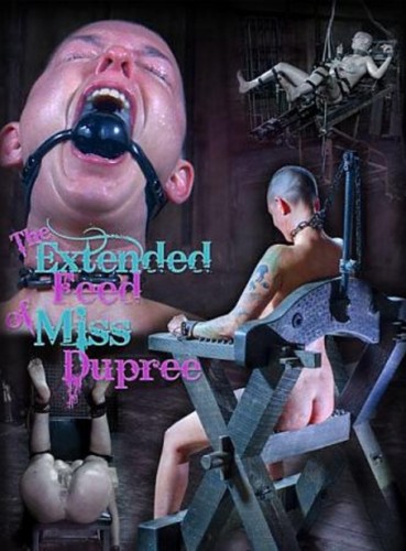 The Extended Feed of Miss Dupree cover