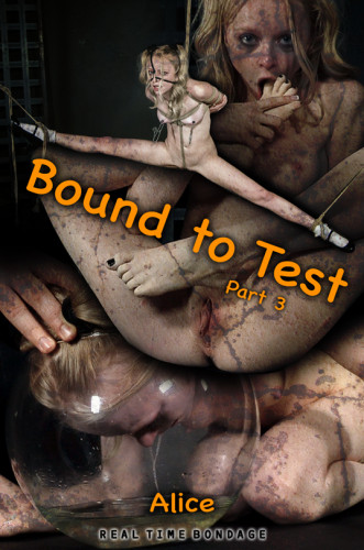 Bound to Test Part 3 cover