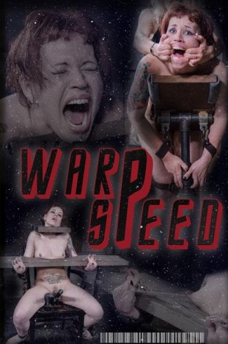 Warp Speed Part 3