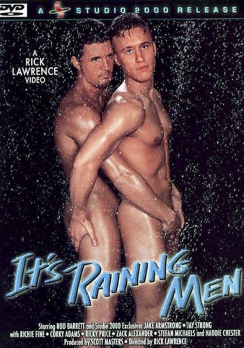 Its Raining Men cover