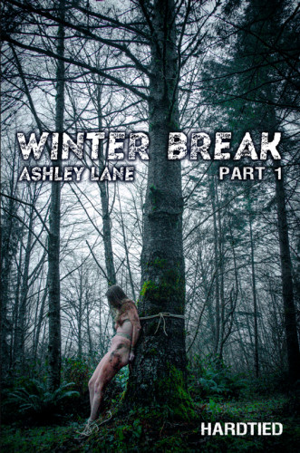 Winter Break Part 1 , Ashley Lane cover