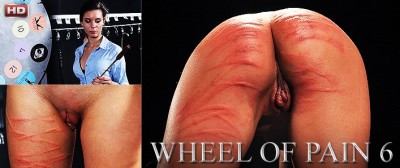 Wheel of Pain 6 cover