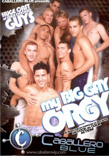 My Big Gay Orgy cover