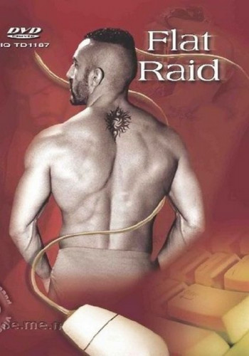 Flat Raid cover