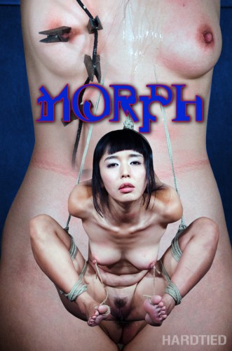 Morph - Marica Hase , HD 720p cover
